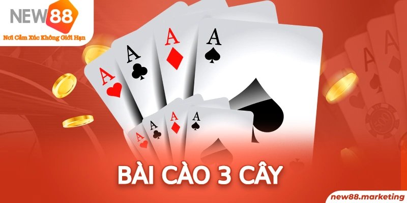 ray bet baccarat là cái gì