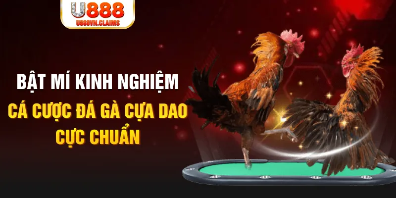 trong baccarat, ai là người chia bài chính?