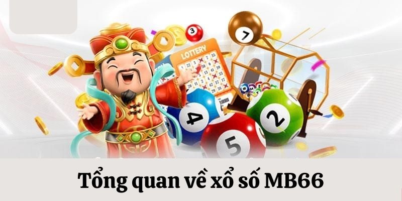 ray bet slot là gi