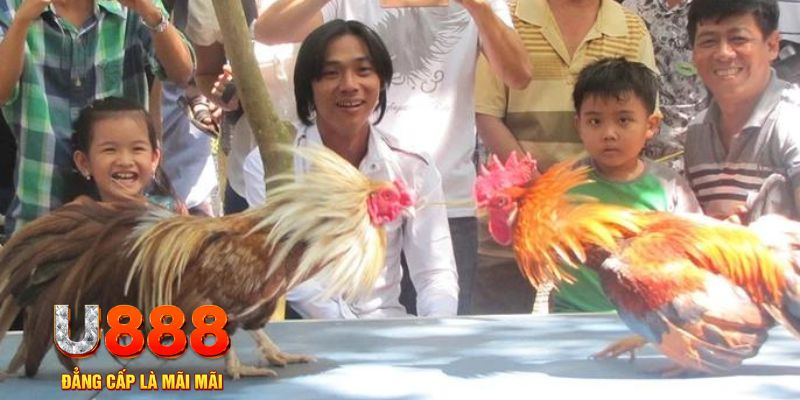 ray bet mơ thấy nổ hũ đánh con gì