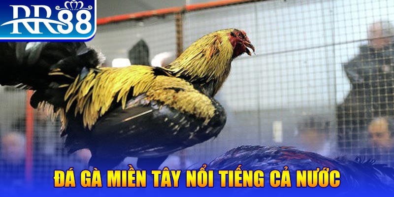 ray bet đăng nhập liêng miễn phí