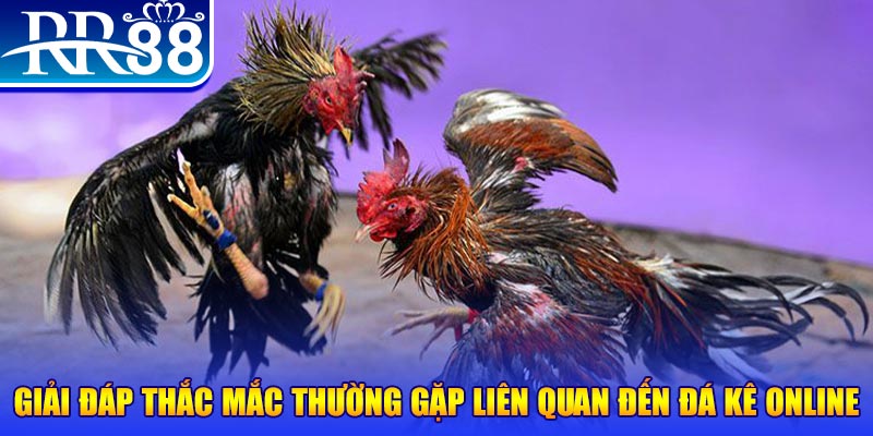 ray bet đăng nhập phỏm tặng tiền
