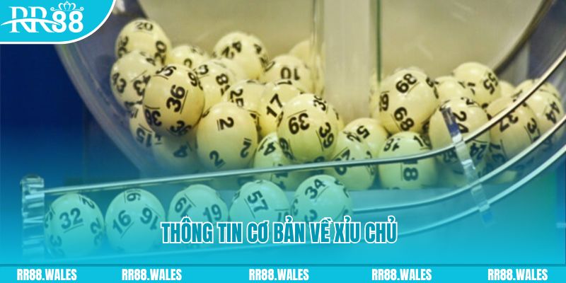 ray bet baccarat long bảo là gì