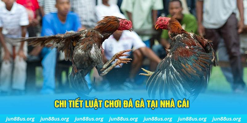 ray bet đá gà campuchia