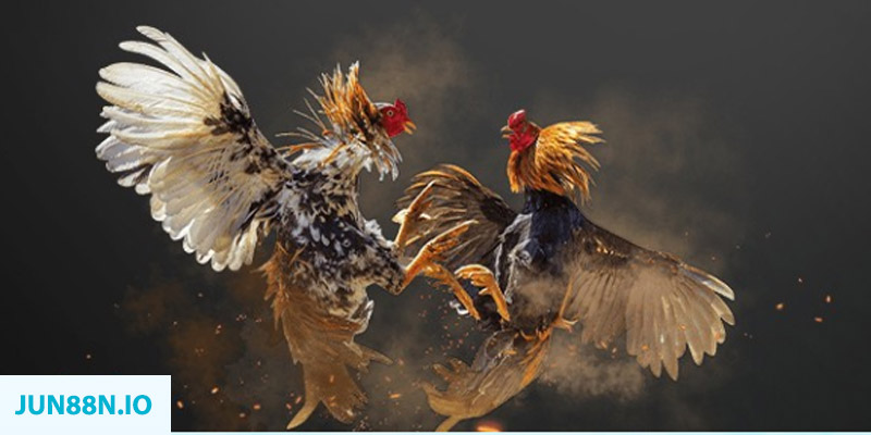 đăng nhập sòng bạc miễn phí