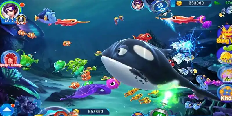 ray bet truc tiep da ga