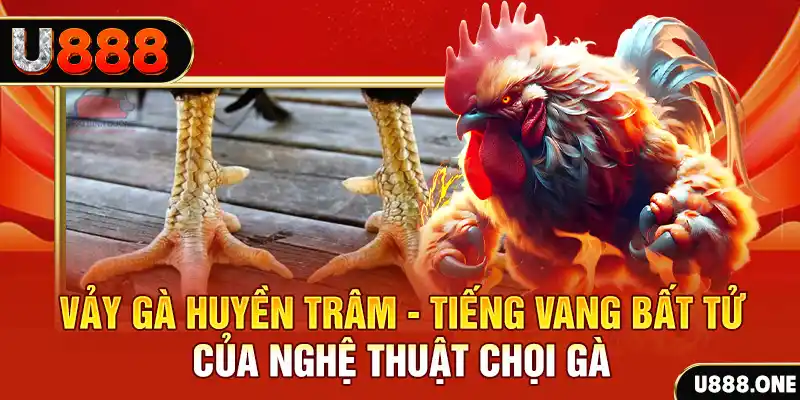 ray bet xổ số ba miền hôm nay