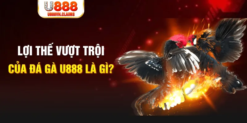 ray bet 888 slot là gì